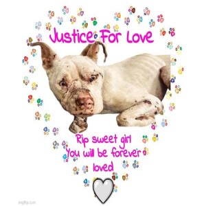 Animal Advocates Radio “Voices Carry For Animals #455” - JUSTICE For PB LOVE