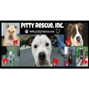 ”Voices Carry For Animals #475 Podcast” - Pitty Rescue, Inc