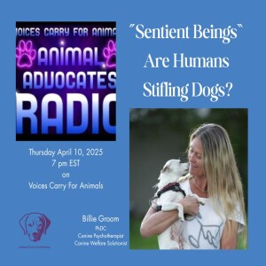 ”Voices Carry For Animals #476 Podcast" - ICP Canine Therapy