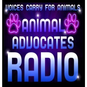 Animal Advocates Radio “Voices Carry For Animals #460” - ”THE RISING LIONESS”