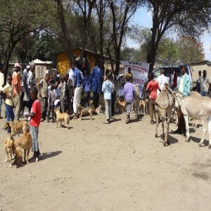 Animal Advocates Radio “Voices Carry For Animals #376”- Meru Animal Welfare