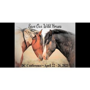 Animal Advocates Radio “Voices Carry For Animals #386”- Save Our Wild Horses