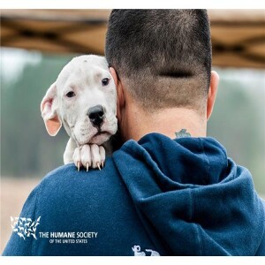 Animal Advocates Radio:”Voices Carry for Animals #177”- Scott Beckstead- HSUS