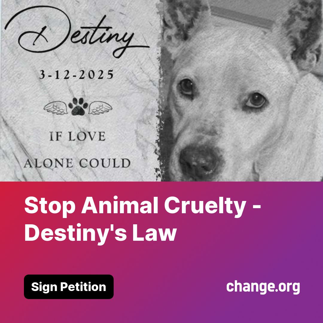 ”Voices Carry For Animals Podcast #484”- Justice for Destiny