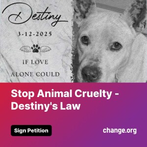 ”Voices Carry For Animals Podcast #484”- Justice for Destiny