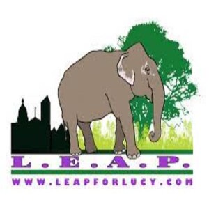 Animal Advocates Radio “Voices Carry For Animals #381”-UPDATE: Lucy the Elephant