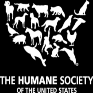 Animal Advocates Radio “Voices Carry For Animals #467”- HSUS- FL State Director