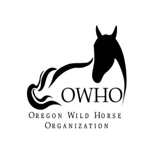 Animal Advocates Radio “Voices Carry For Animals #384”- OWHO