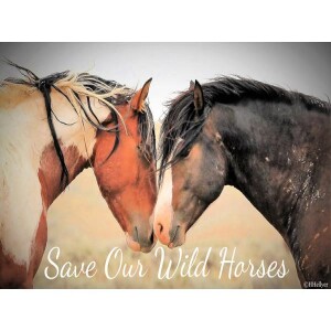 Animal Advocates Radio “Voices Carry For Animals #406” - Save Our Wild Horses