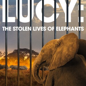”Voices Carry For Animals #477”- Lucy’s Documentary Released