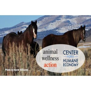 Animal Advocates Radio “Voices Carry For Animals #420”- Animal Wellness Action