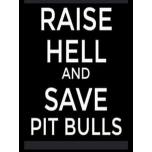 Animal Advocates Radio ”Action Takers For Pit Bulls”#8~Regina Riani Quinn