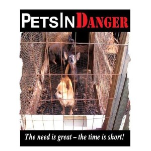 Animal Advocates Radio “Voices Carry For Animals #426”- PetsInDanger