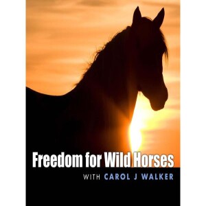 Animal Advocates Radio “Voices Carry For Animals #417- Freedom for Wild Horses