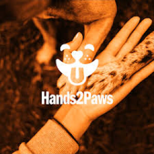 ”Voices Carry For Animals #478 Podcast” - Hands2Paws