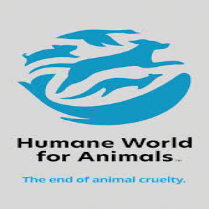 ”Voices Carry For Animals #485”- Humane World for Animals
