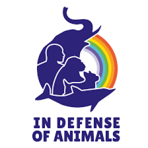 ”Voices Carry For Animals Podcast #488”- In Defense of Animals
