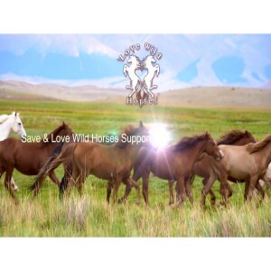 Animal Advocates Radio “Voices Carry For Animals #449” - Love Wild Horses