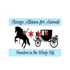 Animal Advocates Radio “Voices Carry For Animals #387- BAN Horse Carriages