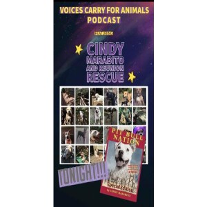 Animal Advocates Radio “Voices Carry For Animals #396”- Reunion Rescue