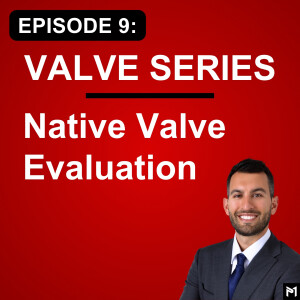 9. How to Evaluate a Native Heart Valve using TEE