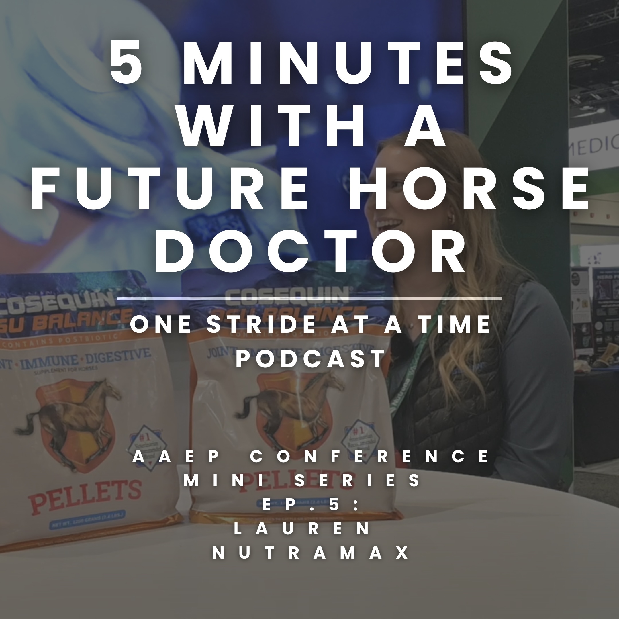 one stride at a time: the equinnection