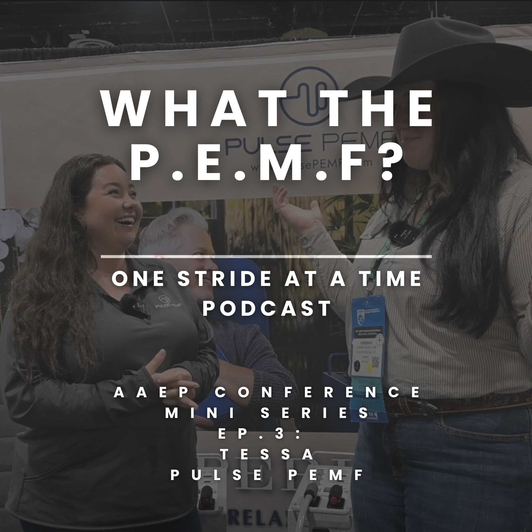 one stride at a time: the equinnection