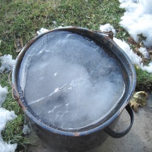 Waterbuckets Frozen