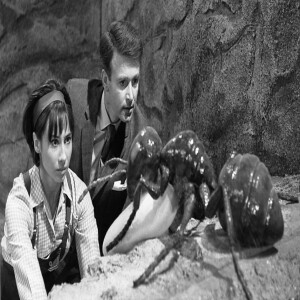 Season 6: Episode 313 - DOCTOR WHO:  Planet of Giants/The Daleks Invasion on Earth