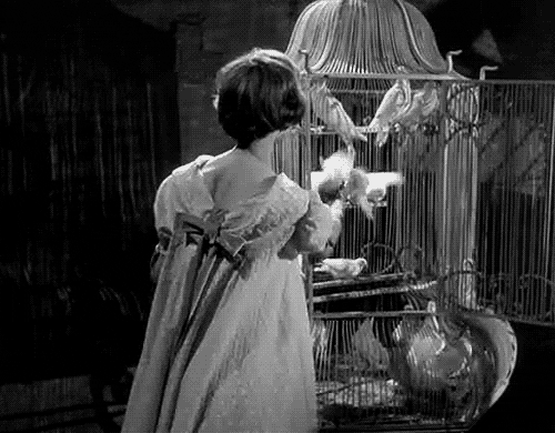 Season 3: Episode 113 - Les Yeux Sans Visage aka Eyes Without A Face (1960)