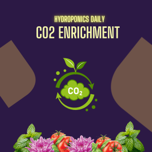 CO2 Enrichment - supercharge your grow