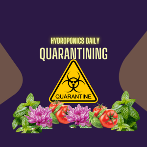 Quarantine - Preventing Invisible Invaders