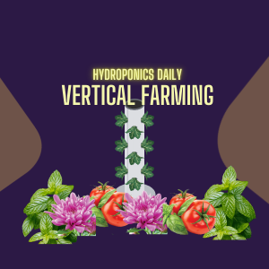 Vertical Farming