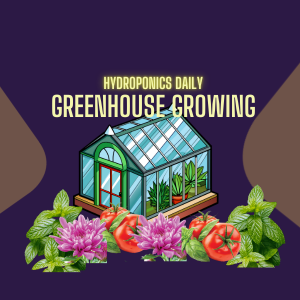 Glasshouses / Greenhouses