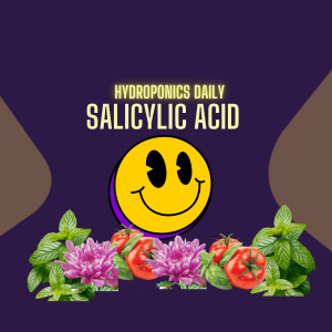 Salicylic Acid in Hydroponics