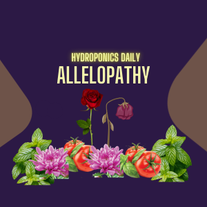 Allelopathy: The Hidden Plant War