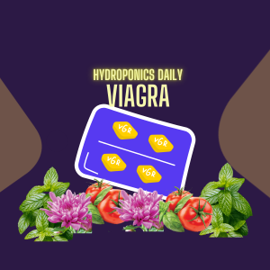 Viagra!