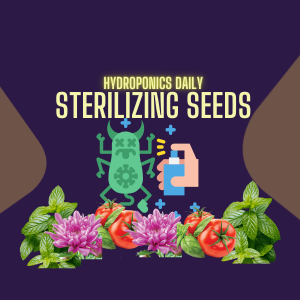 Seed Sterilization in Hydroponics