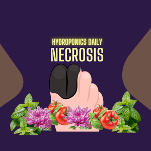 What does 'senescence', 'necrosis', 'abscission', and 'chlorosis' mean?