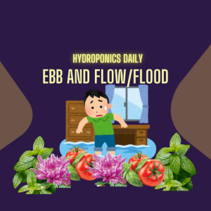 Ebb and Flow/Flood Hydroponics