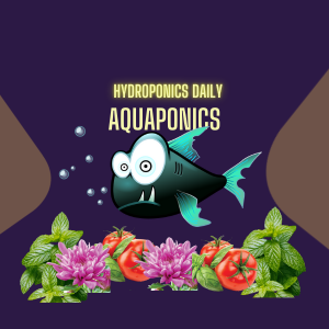 Aquaponics