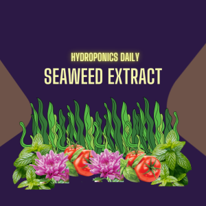 Seaweed Extract Biostimulants