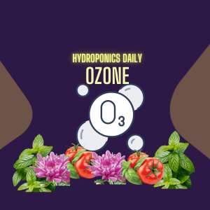 Ozone