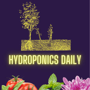 Layering propagation in hydroponics for difficult to root strains