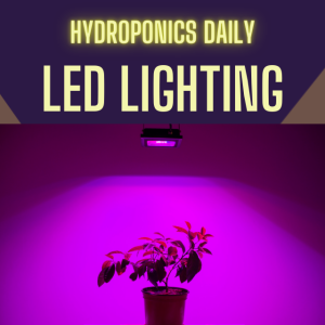 LED Lighting in Hydroponics