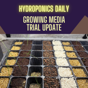 Growing Media Options - trial update