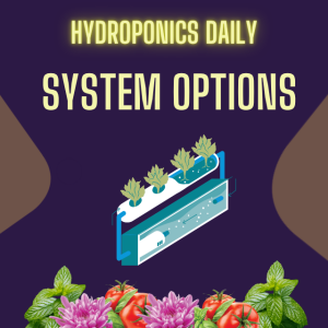 Hydroponic System Options: Recirculatory vs Run-to-Waste