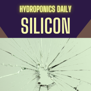 Silicon in Hydroponics