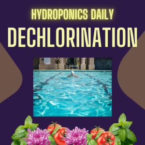 Dechlorination - the simplest yield hack!