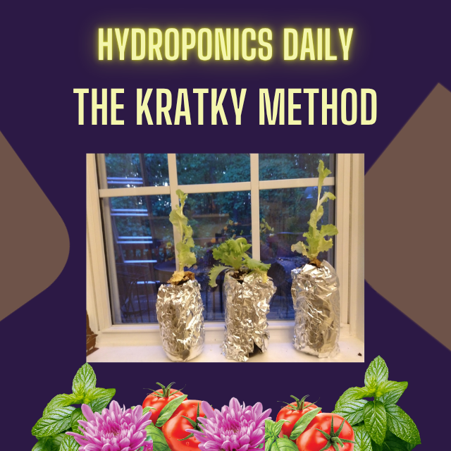Hydroponics Daily